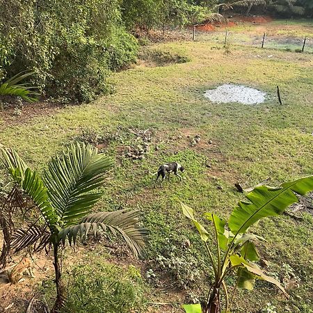 Hostelexp, Gokarna - A Slow-Paced Backpackers Community Kültér fotó