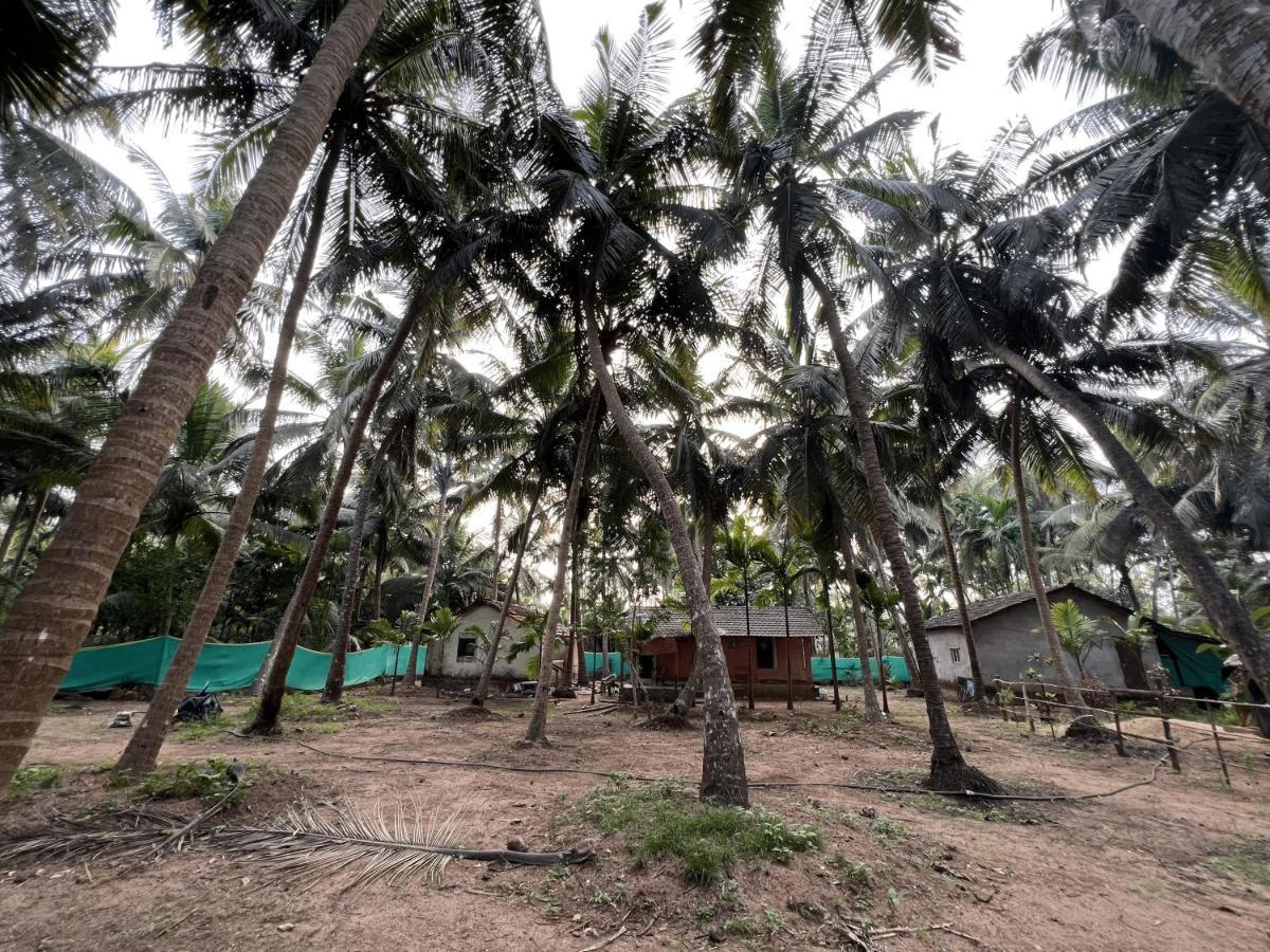 Hostelexp, Gokarna - A Slow-Paced Backpackers Community Kültér fotó