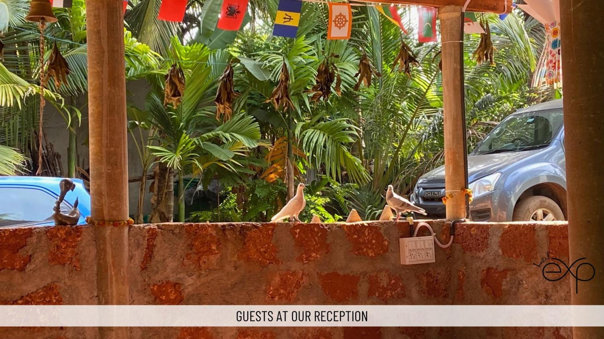 Hostelexp, Gokarna - A Slow-Paced Backpackers Community Kültér fotó