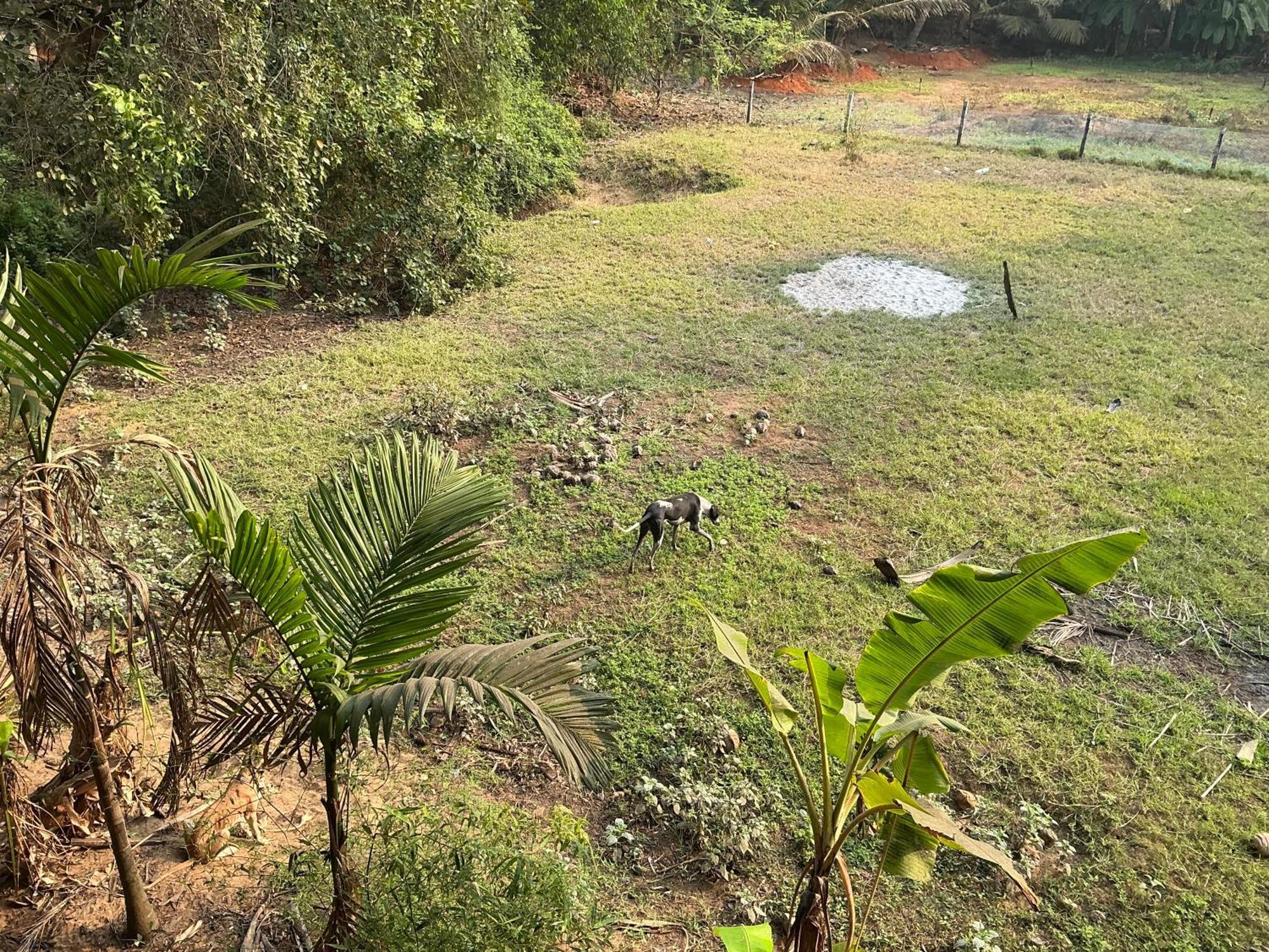 Hostelexp, Gokarna - A Slow-Paced Backpackers Community Kültér fotó